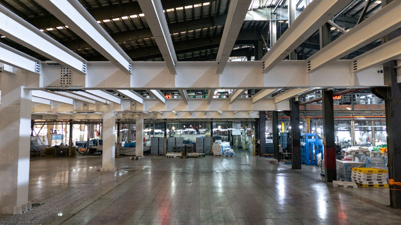 این پروژه صنعتی با وزن ۱۵۵ تن، در فضایی به ابعاد ۳۰×۳۸ متر اجرا شده و از سقف عرشه فولادی بهره میبرد. میانگین مصرف فولاد ۱۳۷ کیلوگرم بر مترمربع و مساحت کل ۱,۱۴۰ مترمربع است. سازه با ظرفیت تحمل بار زنده ۱ تن بر مترمربع بر روی چهار ستون باکس فولادی ۷۵×۷۵ سانتیمتر و ورق ۳۰ میلیمتر طراحی شده است.